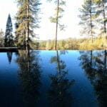 a view from the outdoor pool in the middle of the woods