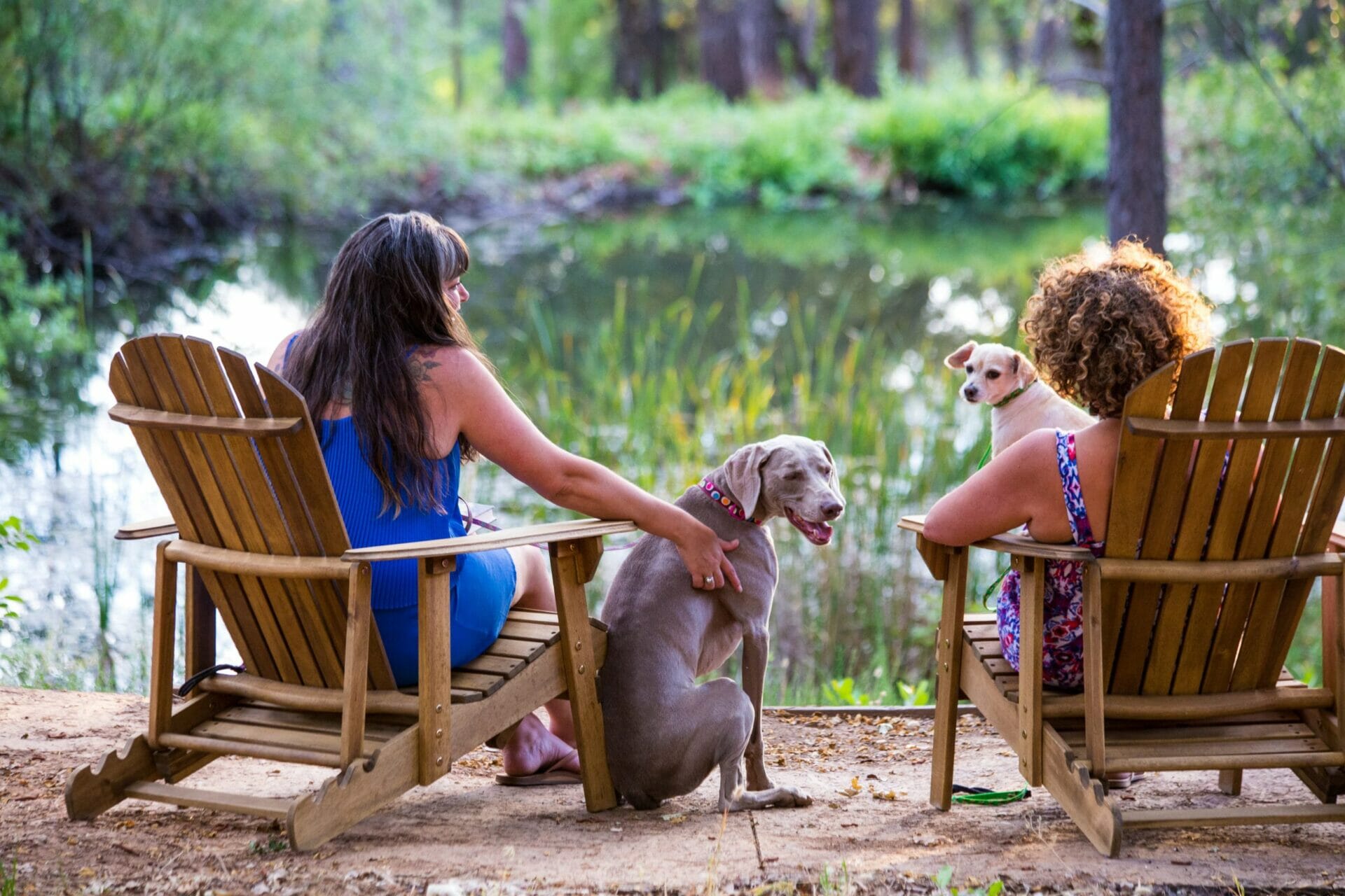 Two women sitting on the outdoor reclined chairs with two dogs looking at the lake