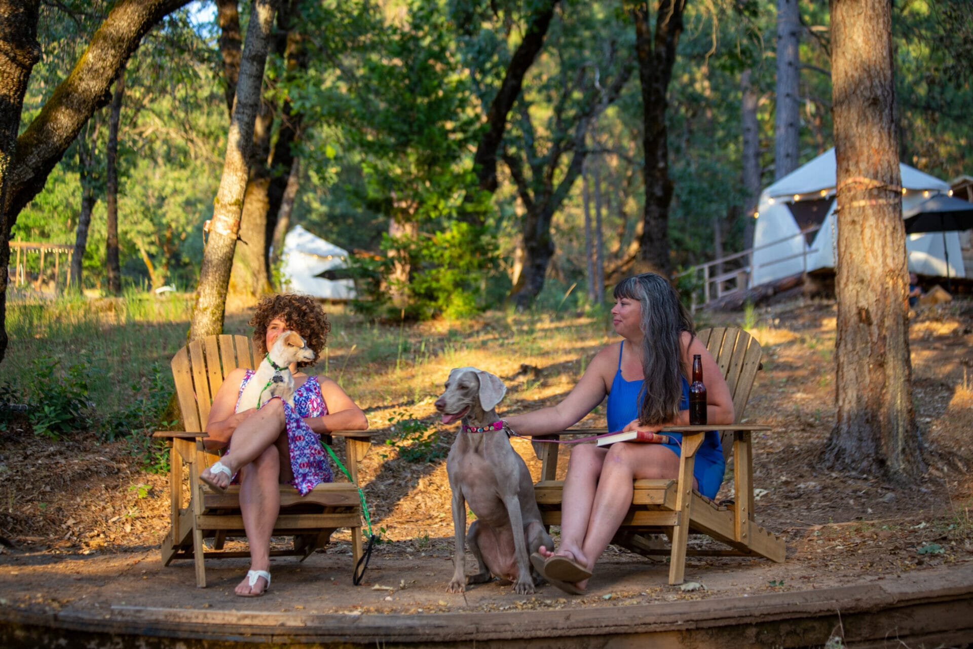 Reverie retreat two women with two dogs sitting in the garden