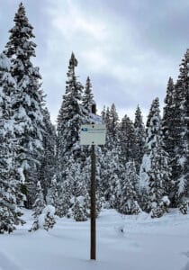 Cross-Country Skiing at Royal Gorge in California