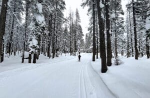 Cross-Country Skiing at Royal Gorge in California