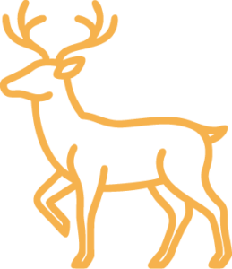 Deer Icon