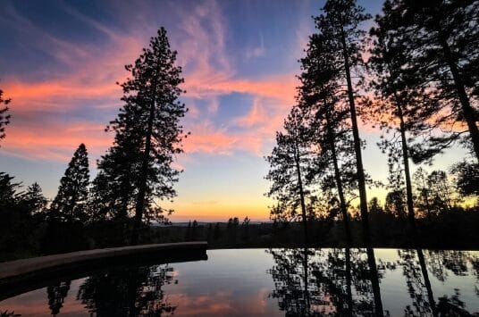 Tall pine trees are silhouetted against a colorful sunset sky with pink and orange clouds, reflected in a calm, curved-edged pool in the foreground. The scene is peaceful and serene, set in a forested area.