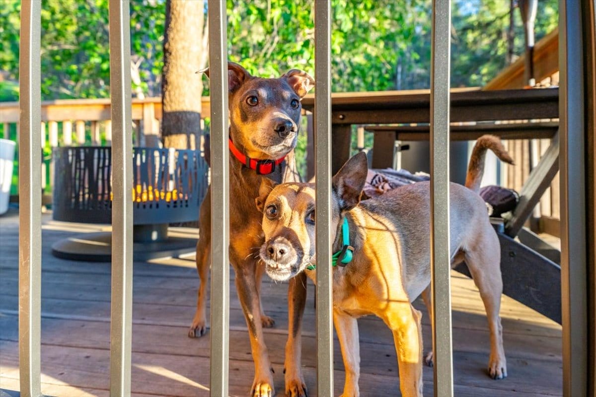 013-5760 Spanish Flat Rd-65