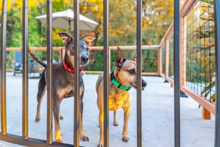 048-5760 Spanish Flat Rd-83