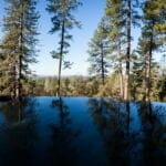 outdoors pool view to the blue sky and the woods